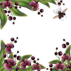 tropical orchid in watercolor and colored pencils