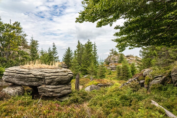Fototapeta na wymiar Summer mountain forest with granite stones