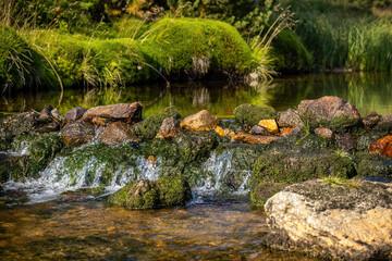 Fototapeta na wymiar Detail shot of small water stone cascade on mountain stream