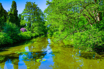 Ein kleines Flüsschen verläuft durch ein grünes Stück Natur, voller Bäume, Büsche und Gräser. Das Ufer ist bewachsen und spiegelt sich im klaren Flusswasser. Der Himmel ist blau und klar.