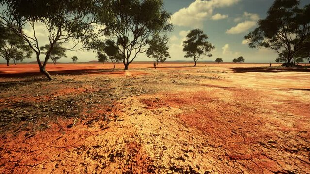 badly cracked earth under a scorching sun