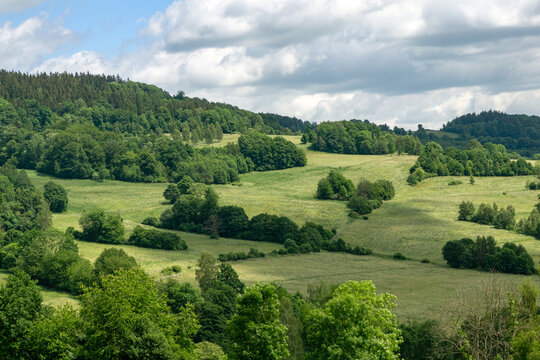 Green fields between clusters of trees on the hill - summer landscape