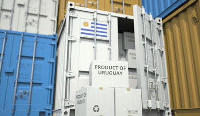 Cardboard boxes with goods from Uruguay and cargo containers. Industry and logistics related conceptual 3D rendering