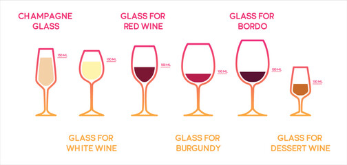 Type of wine glasses infographic. Vector wine glass icons