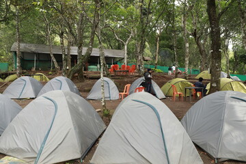 camping in the forest
