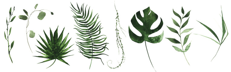 Watercolor floral set of exotic green leaves, branches, twigs etc. Vector traced isolated tropical greenery. 
