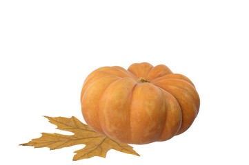 Autumn pumpkin