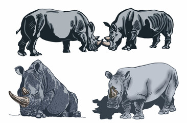 Color set of rhinoceroses on white isolated, vector illustration,graphical drawing. Stylish print elements, savanna habitant