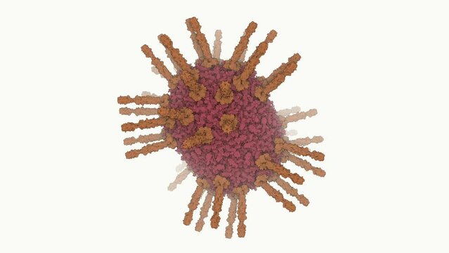 The 3D rendering of a head of a bacteriophage. Bacteriophages are viruses that infect bacteria. 