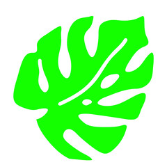 Fototapeta premium Monstera green leaf silhouette. Tropical vacation holiday, nature palms exotic plants theme. Decorative illustration element. Minimalism style logo or background colorful design.