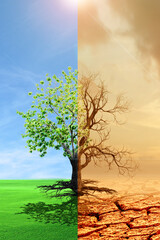 Climate change from drought to green growth. climate change withered earth. Global warming...