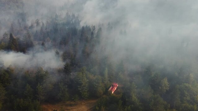  Firefighter and fire in the forest. Firefighter car inside the forest