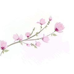 Fototapeta na wymiar branch of magnolia blossom