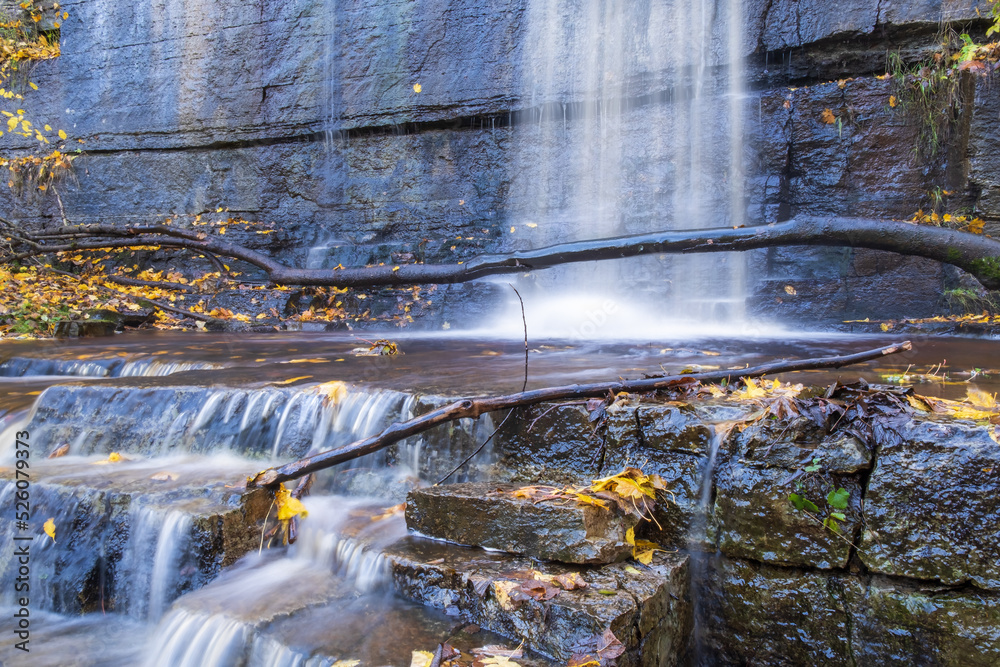 Poster Waterfall in a stream with yellow autumn leaves