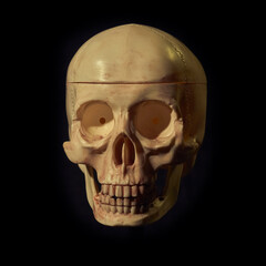 Damaged Dirty and bloody skull head on black background