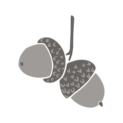 Hand drawn cartoon style acorns