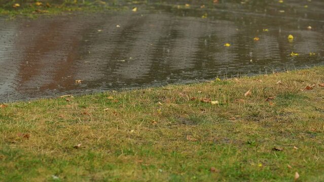 Regenschauer und ablaufendes Regenwasser nach einer Trockenzeit im Sommer