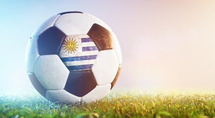 Football soccer ball with flag of Uruguay on grass