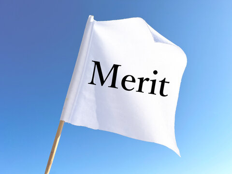 強風にはためく白い旗_Merit文字入り