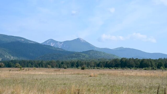 Field with mountain in distance on summer. Mountain Sator, Bosansko Grahovo, Bosnia and Herzegovina. 