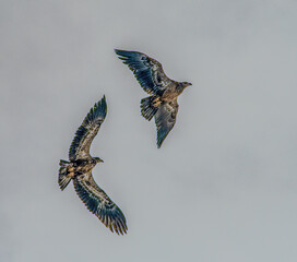 nature at its finest