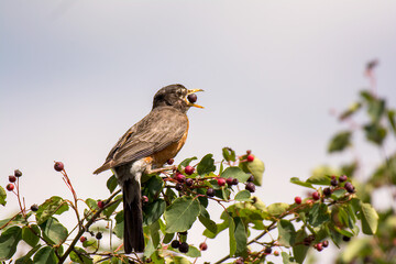 nature at its finest