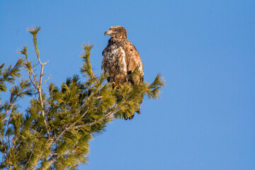 nature at its finest