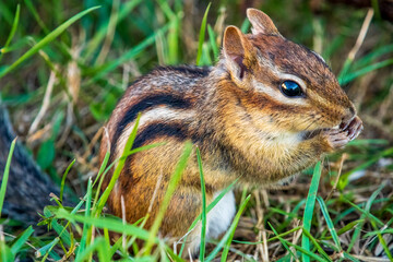 nature at its finest