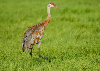 nature at its finest