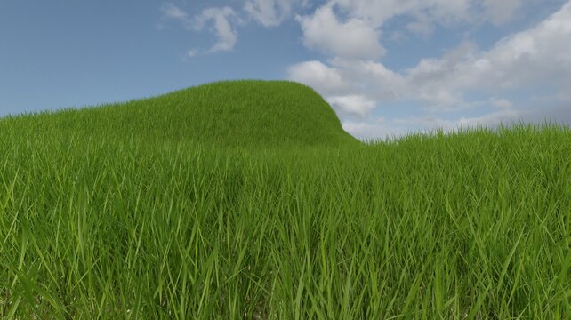Beautiful green grass nature landscape scene 3D rendering wallpaper backgrounds