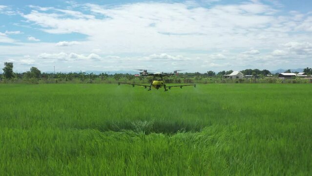 Agriculture Drone Technology AI robot for farmer to remote and spray chemical or water into paddy rice field and farmland.