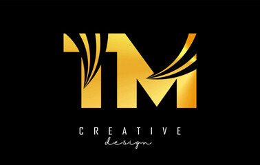 Golden letter TM t m logo with leading lines and road concept design. Letters with geometric design. Vector Illustration with letter and creative cuts.