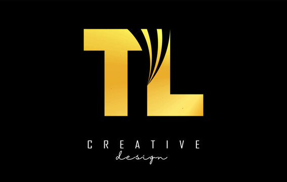 Golden letter TL t l logo with leading lines and road concept design. Letters with geometric design. Vector Illustration with letter and creative cuts.
