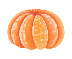 whole peeled tangerine hand drawn with gouache paint in realistic style