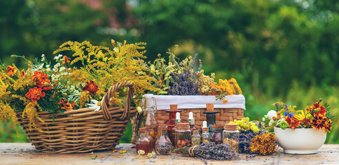 Medicinal herbs and tinctures on the table. Selective focus.
