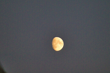 Mond