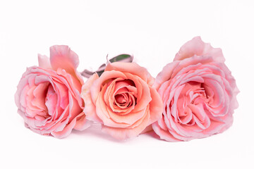 Fototapeta na wymiar Composition of beautiful flowers on a white background. Roses, lilies, mint grass, Arrangement of flowers, arrangement of pink flowers on the table. Pastel colors. Valentine's Day. Mothers Day. Women'