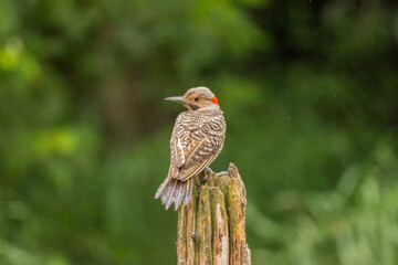 all photos are of nature and landscapes