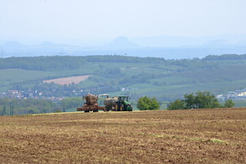Obraz premium corn harvest in autumn