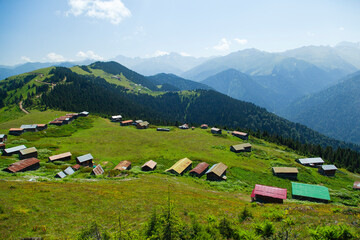 Summer Season in the Pokut Plateau, Camlihemsin Rize, Turkey