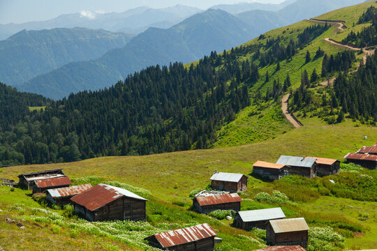 Summer Season in the Pokut Plateau, Camlihemsin Rize, Turkey