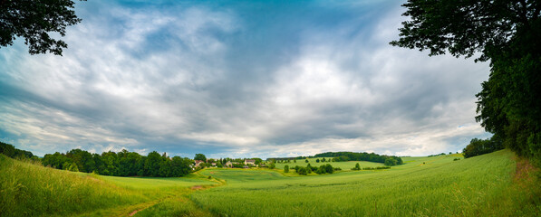 panorama of a green summer field with a path