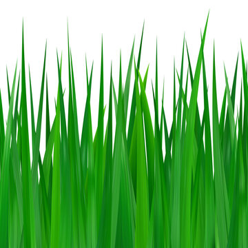 Seamless bushes of green grass