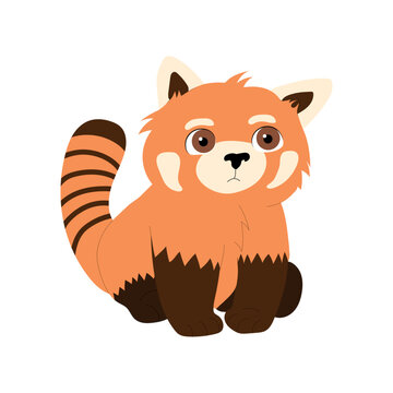 Cute red panda isolated on white background. Cartoon vector illustration.  