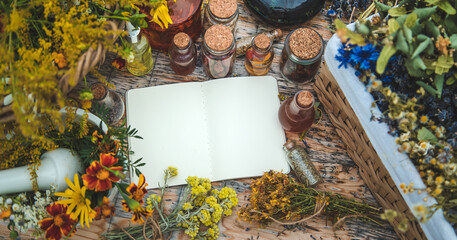 Medicinal herbs on the table. Place for notepad text. Selective focus.