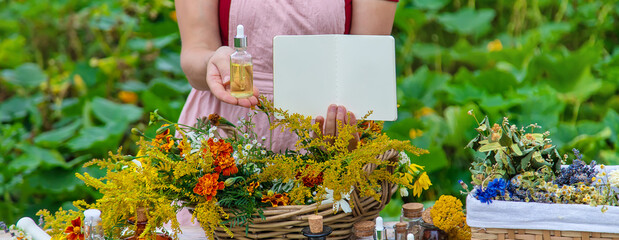 Medicinal herbs on the table. Place for notepad text. woman. Selective focus.