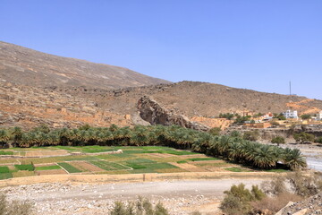 Abandoned village ruins of Riwaygh as-Safil with an oasis underneath on the road between Al Hambra and Jebel Shams, Sultanate of Oman