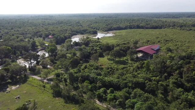 Its natural landscape, Way Kambas Indonesia National Park, consists of elephant hospital buildings, rivers and trees.
