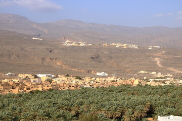 View over Al Hamra historic town in Oman, Asia, Arabian Penisula
