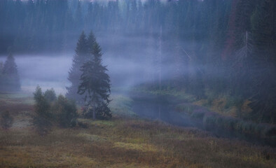 Autumn with spruce forest and foggy northern river. Fog rises over the water at dawn. Beautiful foggy fairytale landscape.
